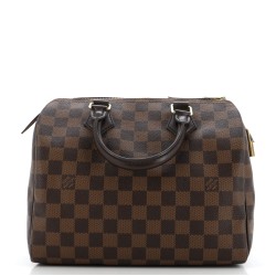 Speedy Handbag Damier 25