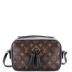 Saintonge Handbag Monogram Canvas with Leather