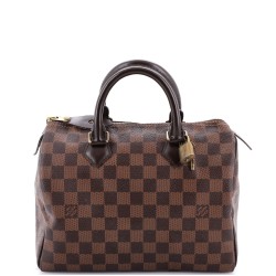 Speedy Handbag Damier 25