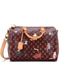 Speedy Bandouliere Bag Limited Edition Grace Coddington Catogram Canvas 30