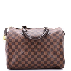 Speedy Handbag Damier 30