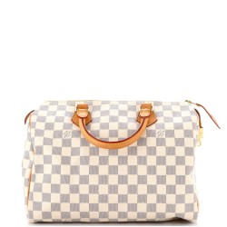 Speedy Handbag Damier 30