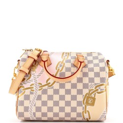 Speedy Bandouliere Bag Limited Edition Nautical Damier 25
