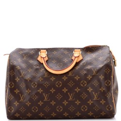 Speedy Handbag Monogram Canvas 35