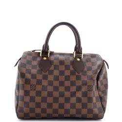 Speedy Handbag Damier 25