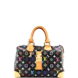 Speedy Handbag Monogram Multicolor 30