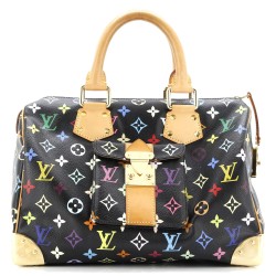 Speedy Handbag Monogram Multicolor 30