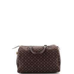 Speedy Handbag Mini Lin 30