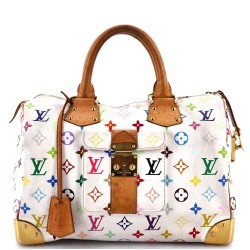 Speedy Handbag Monogram Multicolor 30
