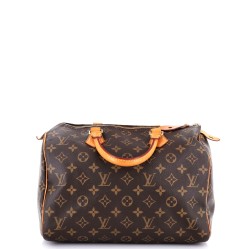 Speedy Handbag Monogram Canvas 30