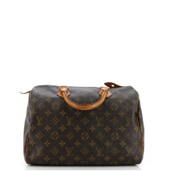 Speedy Handbag Monogram Canvas 30