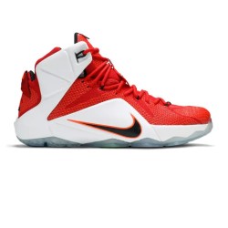 Nike LeBron 12 'Heart of a Lion' (2014)
