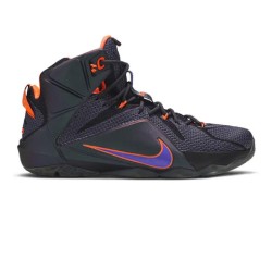 Nike LeBron 12 'Instinct' (2014)