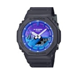 GA2100FL-1A