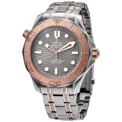 Seamaster Automatic Grey Dial Men's Watch 210.60.42.20.99.001
