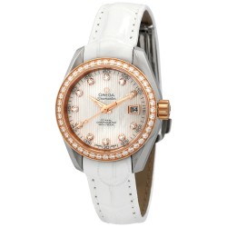 Seamaster Aqua Terra Diamond Ladies Watch 231.28.30.20.55.001