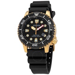 Professional Diver Black Dial Men's Watch BN0152-06E
