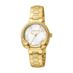 Fashion Watch Quartz Silver Dial Ladies Watch RV1L190M0041