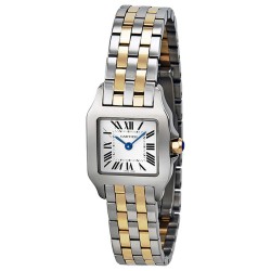 Pre-owned Cartier Santos Demoiselle Silver Grained Dial Ladies Watch W25066Z6