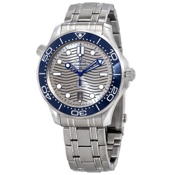 Seamaster Automatic Grey Dial Men's Watch 210.30.42.20.06.001