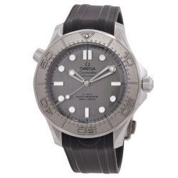 Seamaster Automatic Chronometer Grey Dial Men's Watch 210.32.42.20.06.002