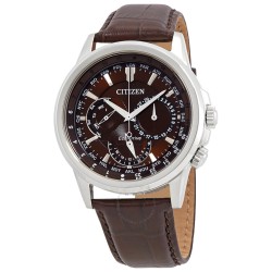 Calendrier World Time Eco-Drive Brown Dial Men's Watch BU2020-29X