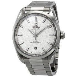 Seamaster Aqua Terra Automatic Chronometer Silver Dial Ladies Watch 220.10.38.20.02.003