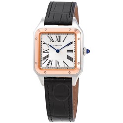 Pre-owned Cartier Santos-Dumont Silver Dial Unisex Watch W2SA0011
