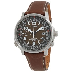 Eco-Drive Promaster Sky Perpetual World Time Brown Dial Men's Watch CB0240-29X