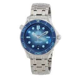 Seamaster Automatic Chronometer Summer Blue Dial Men's Watch 210.30.42.20.03.003