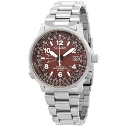 Perpetual World Time Watch CB0241-85X