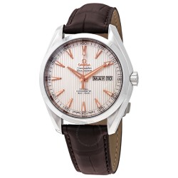 Seamaster Aqua Terra Automatic Chronometer Silver Dial Men's Watch 231.13.43.22.02.003
