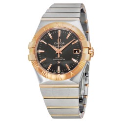 Constellation Automatic Grey Dial Steel and 18kt Rose Gold Men's Watch 12320352006002