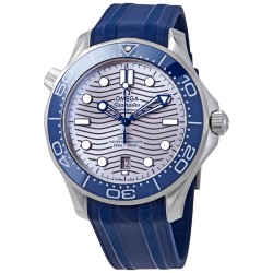 Seamaster Automatic Grey Dial Men's Watch 210.32.42.20.06.001